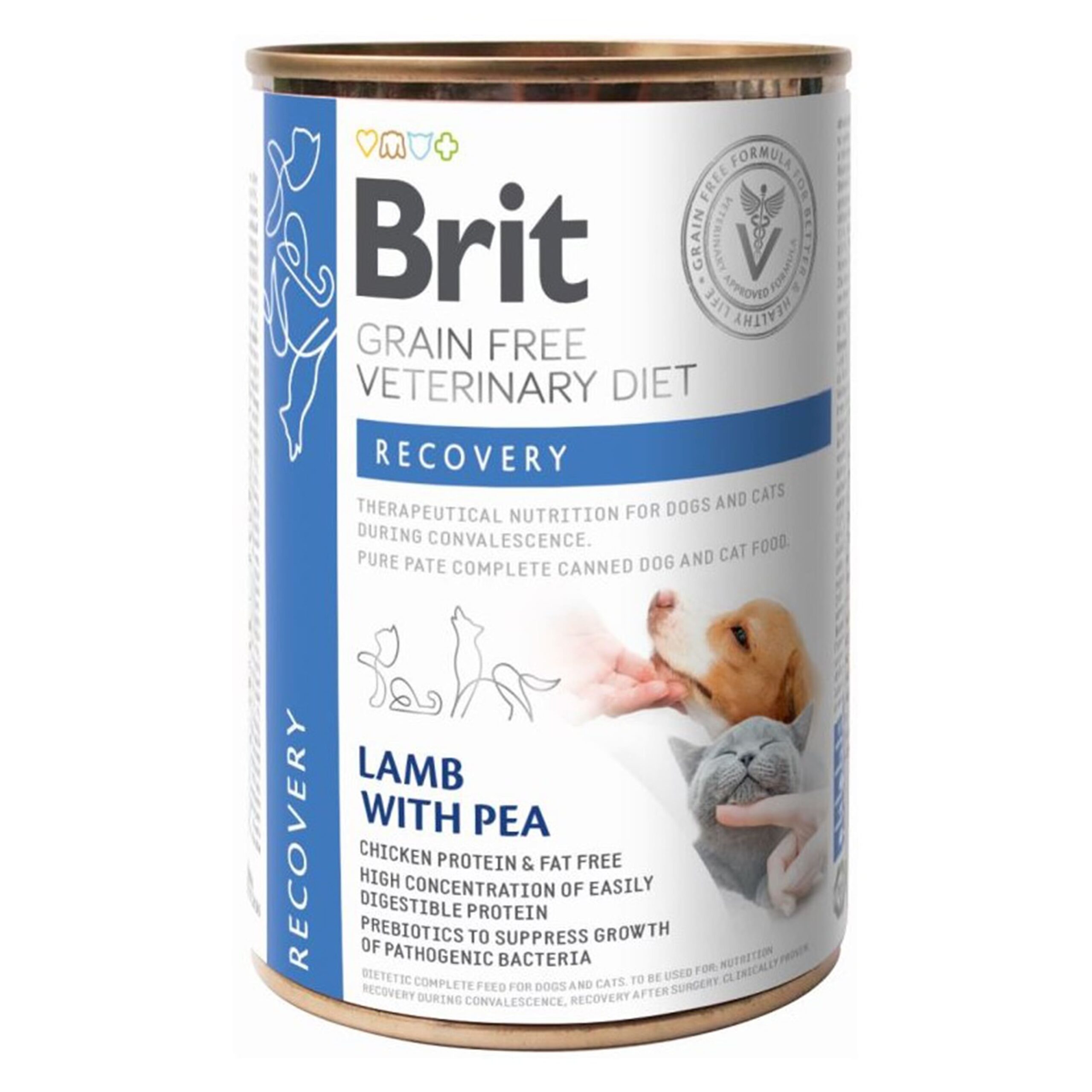 BRIT GF VET DIETS CAN DOG & CAT RECOVERY